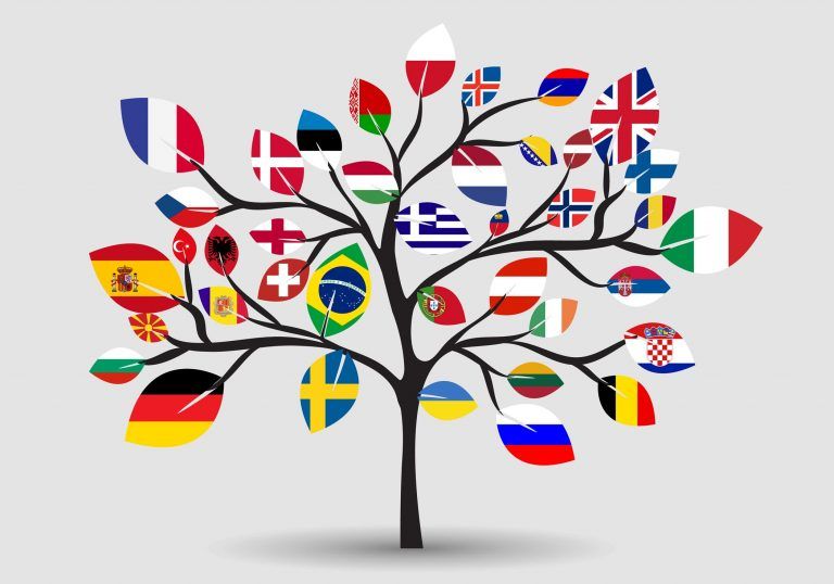 sitio web multilingüe